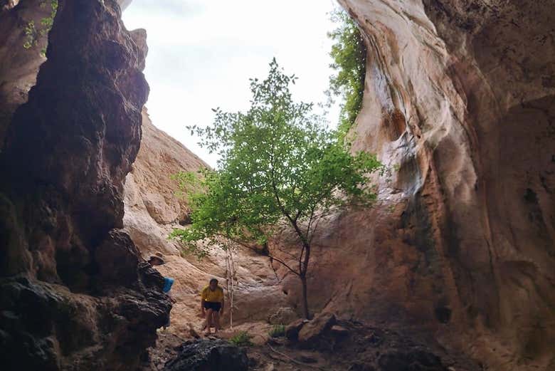 Entrée de la grotte de Khao Khanab Nam