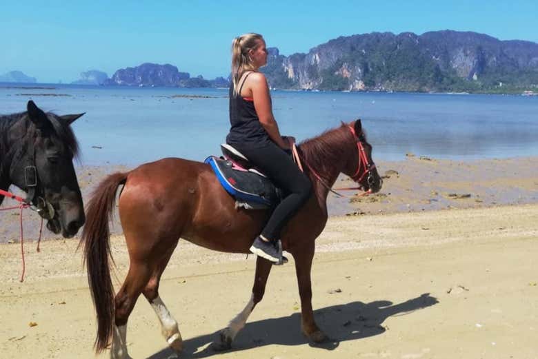 Views during the horseback ride