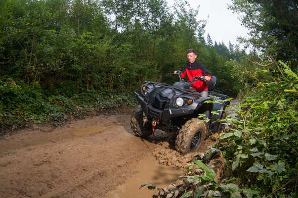 Tour in quad a Krabi