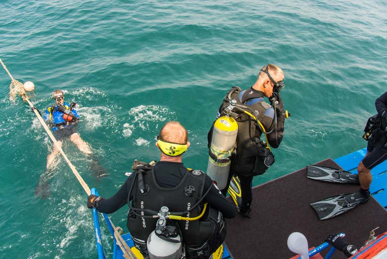 Listos para saltar al agua