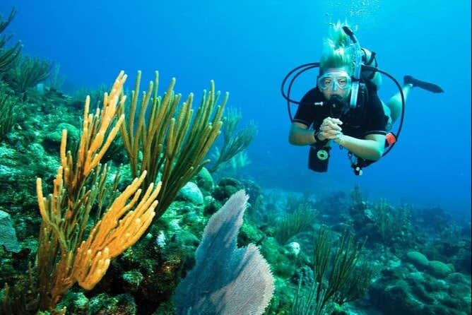 Plongée à Pattaya