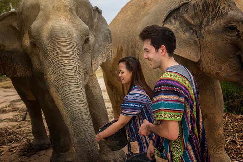 Elephant Jungle Sanctuary de Pattaya