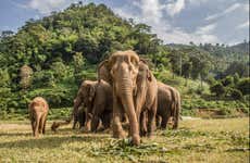 Visita ao santuário de elefantes