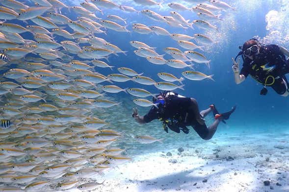 Buceo en la isla de Racha Yai
