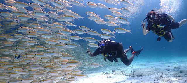 Buceo en la isla de Racha Yai