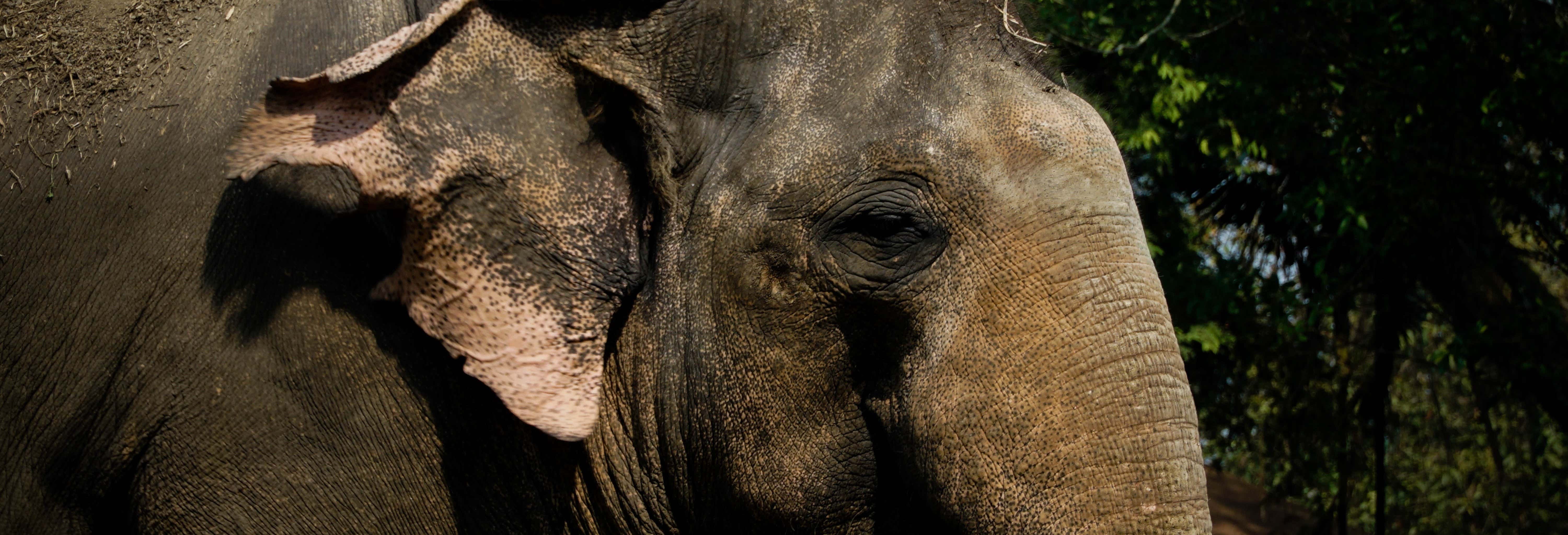 Excursões de um dia em Phuket