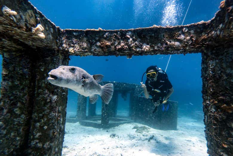 Disfrutando del curso de buceo