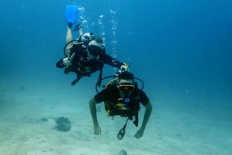 Acompañados por el instructor de buceo