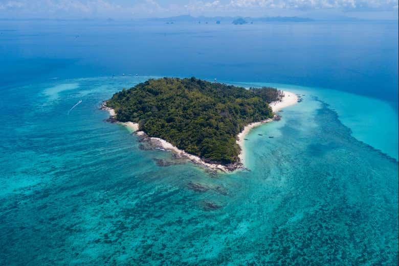 Isla Bambú