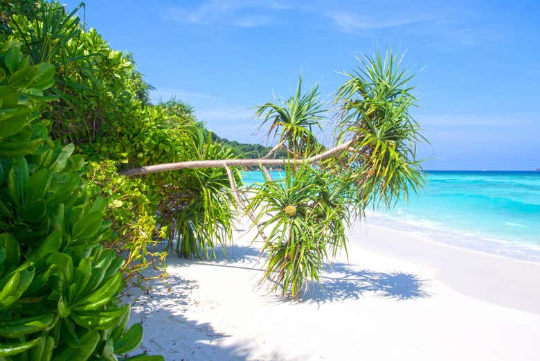 Paysage des îles Similan
