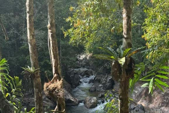 Paisajes repletos de vegetación en Phuket