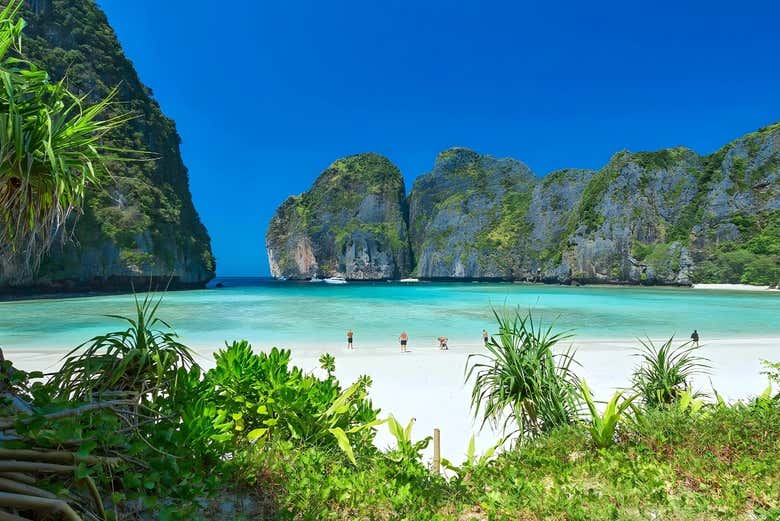 See paradisiacal beaches