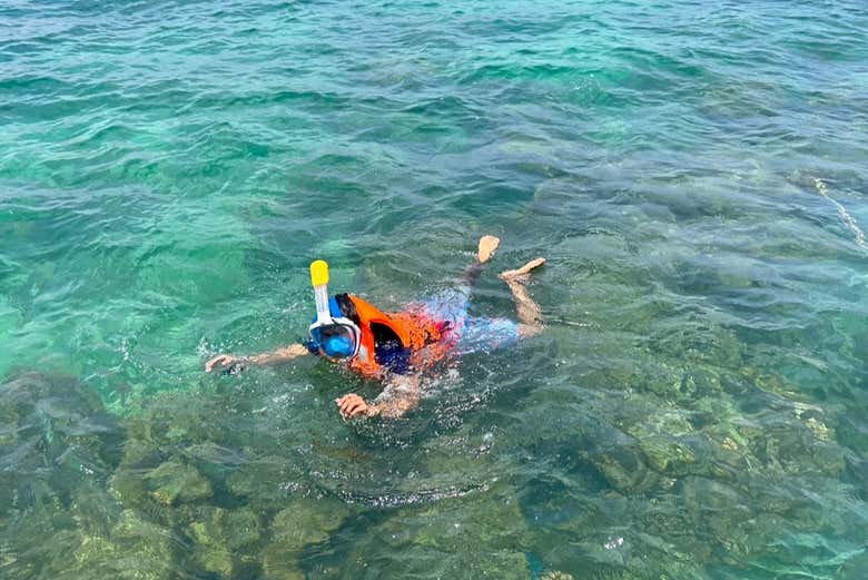 Snorkel in crystal-clear waters