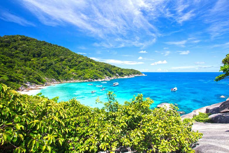 Paysage luxuriant des îles Similan