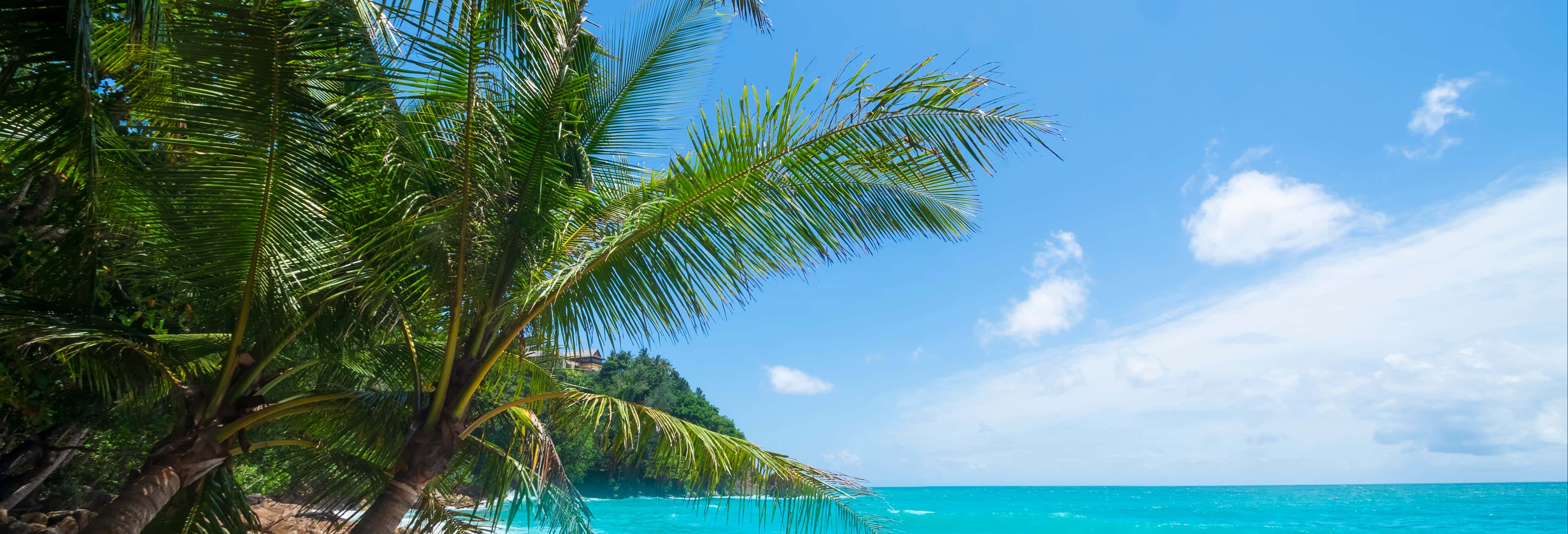 Acción y naturaleza en Phuket