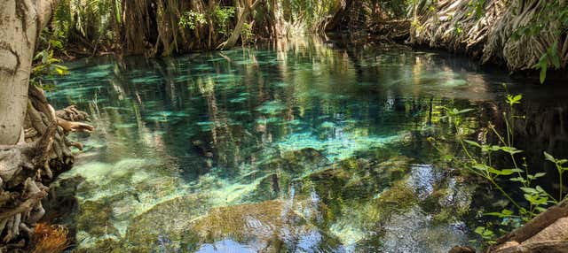Excursión a las aguas termales de Kikuletwa