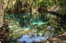 Kikuletwa Hotsprings Day Trip
