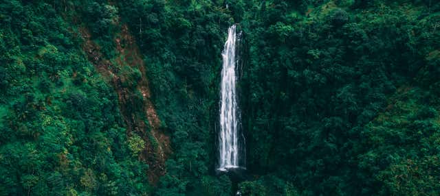 Excursión a las cascadas de Materuni