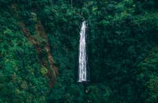 Excursión a las cascadas de Materuni