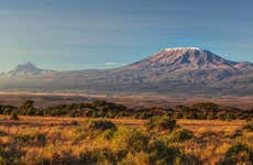Day Trip to Mount Kilimanjaro
