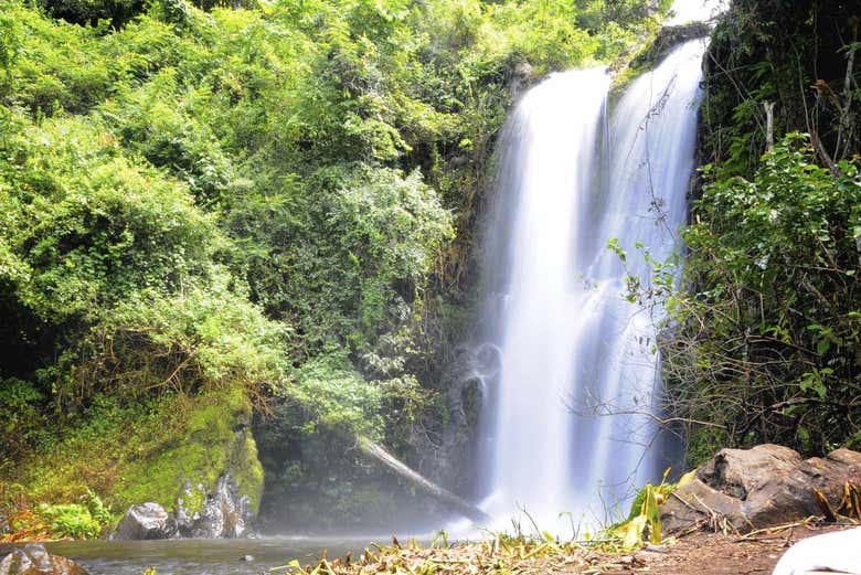 Cataratas de Marangu