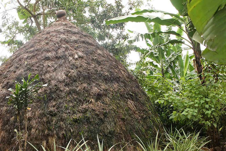 Il tetto di una casa chagga