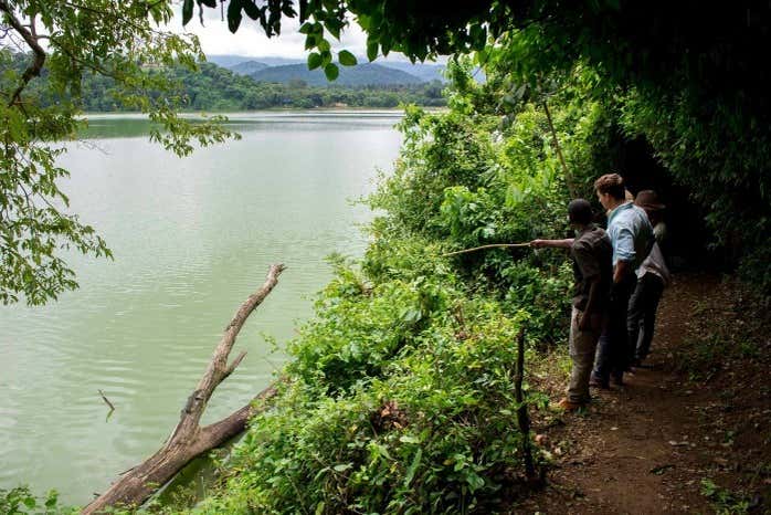 Our knowledgeable guide will point out the rich biodiversity
