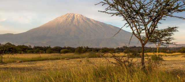 Safari por el Parque Nacional de Arusha