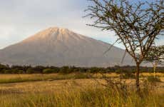 Safari por el Parque Nacional de Arusha