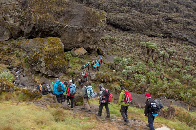Explorando los caminos que nos llevan al Kilimanjaro