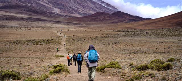 Ruta Machame de 9 días por el Kilimanjaro