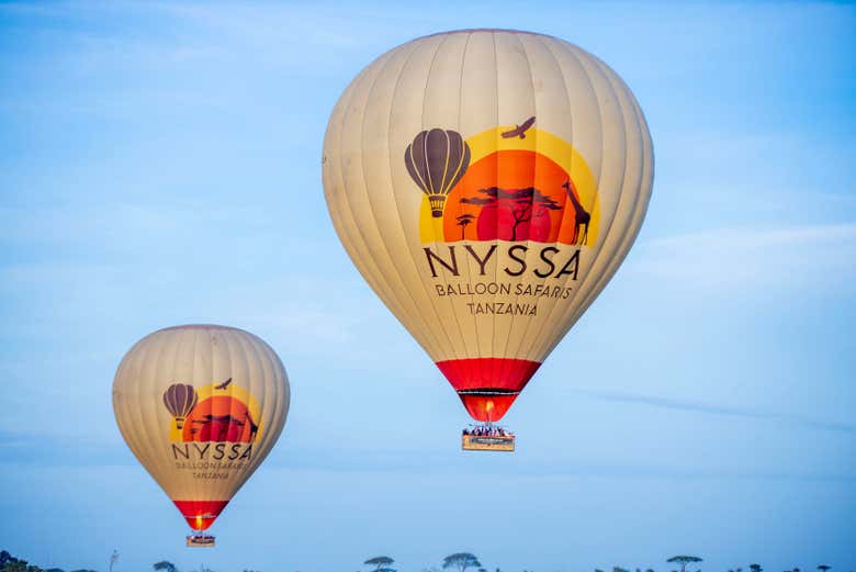 Fly over Serengeti National Park