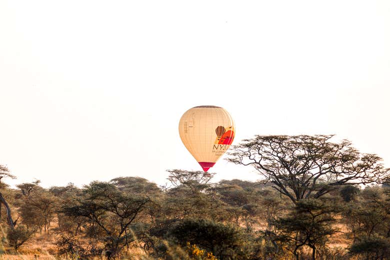 The Nyssa Balloon Safaris' balloon is passing through the Sereng
