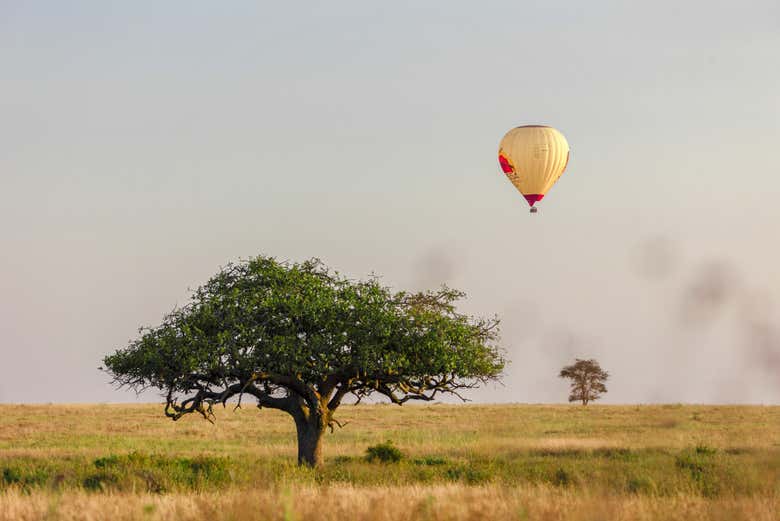 serengeti balloon safaris - nyssa balloon safaris