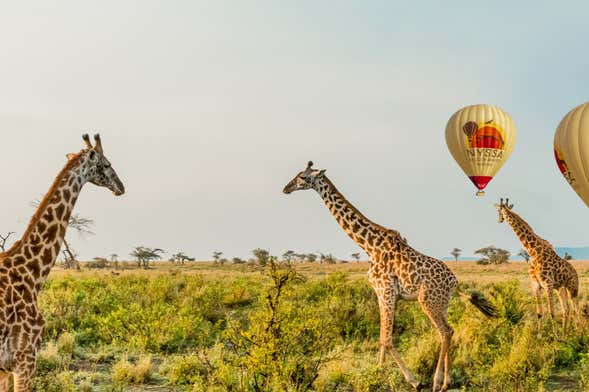 Paseo en globo por el Serengueti