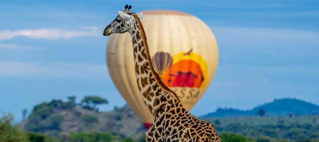 Vol en montgolfière au-dessus du Serengeti