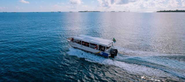 Bawe Island & Nyange Sandbank Boat Tour