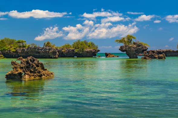 Excursion sur l'île Kwale