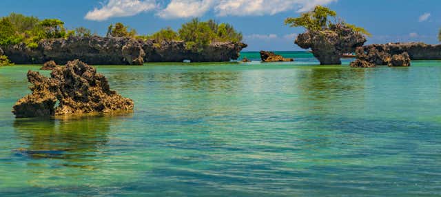 Excursión a la isla Kwale