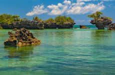Kwale Island Day Trip