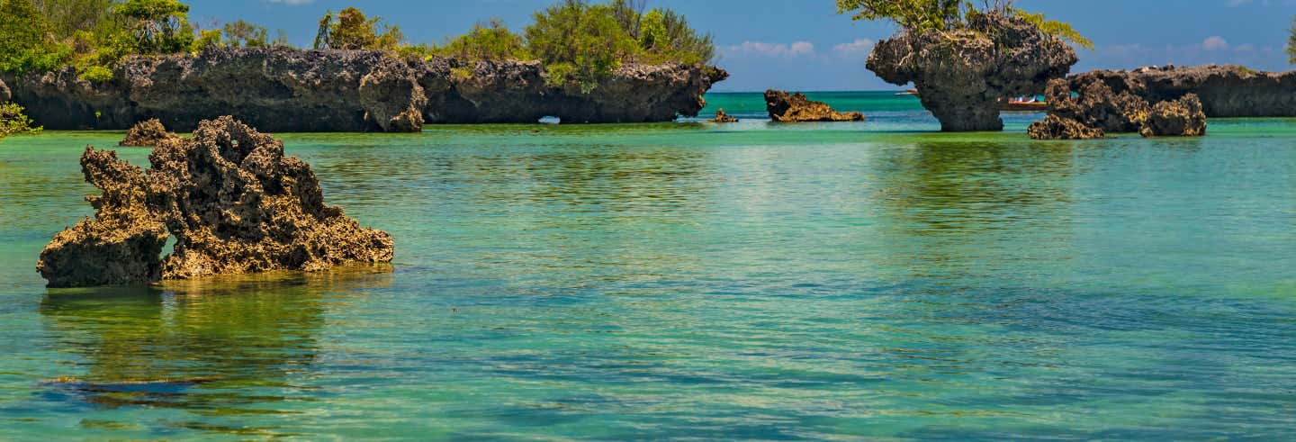 Excursions d'une journée depuis Zanzibar