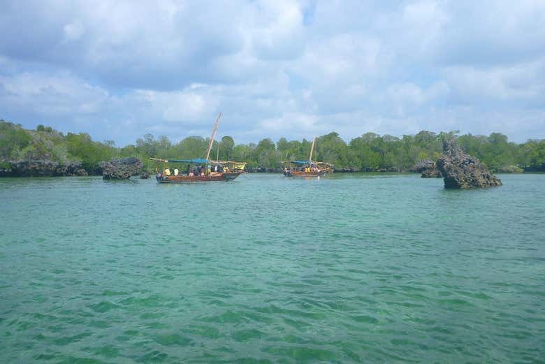 Sailing to the island