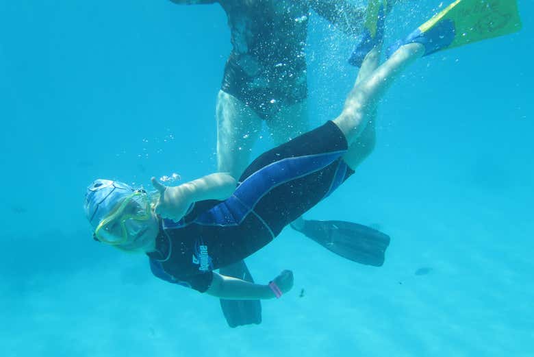 Une activité parfaite pour toute la famille