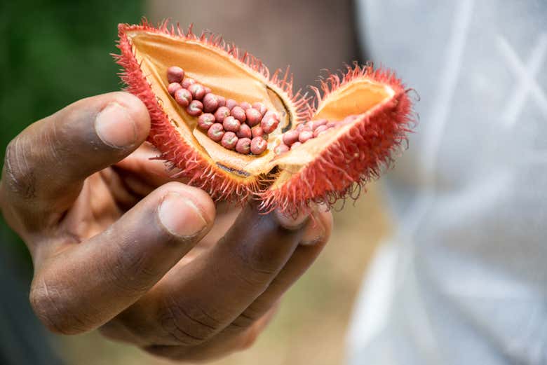 Ramboutan, fruit tropical de l'île