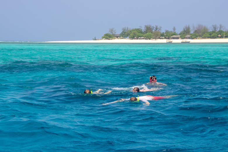 Grupo haciendo snorkel en Zanzíbar