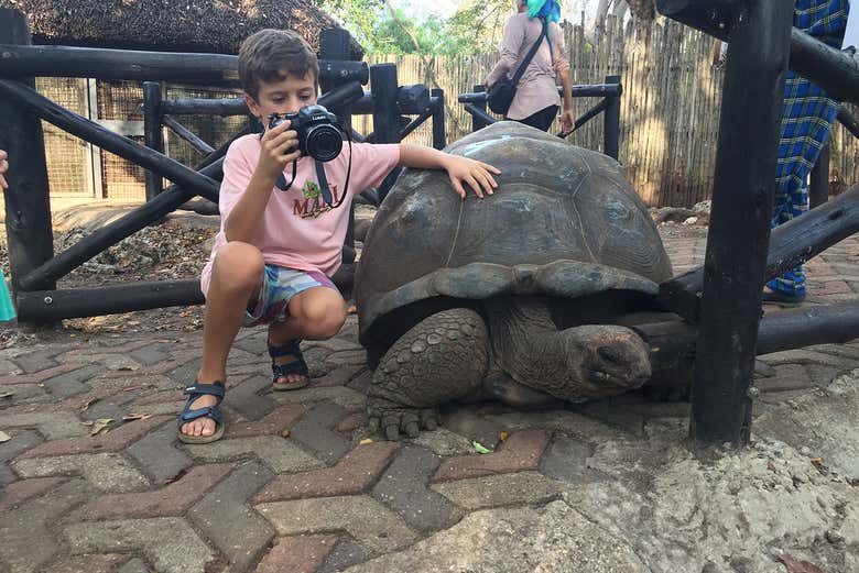 Divirtiéndonos con una simpática tortuga