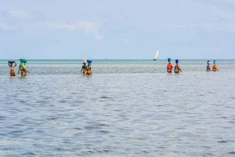 Conociendo la cultura de la isla