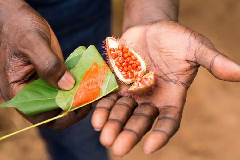 Rambután, una de las frutas tropicales de la isla