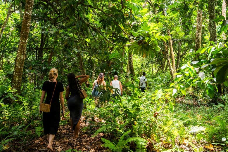 Caminando entre la densa selva