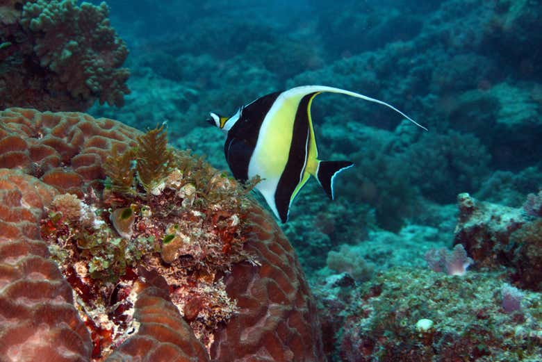 Une expérience inoubliable